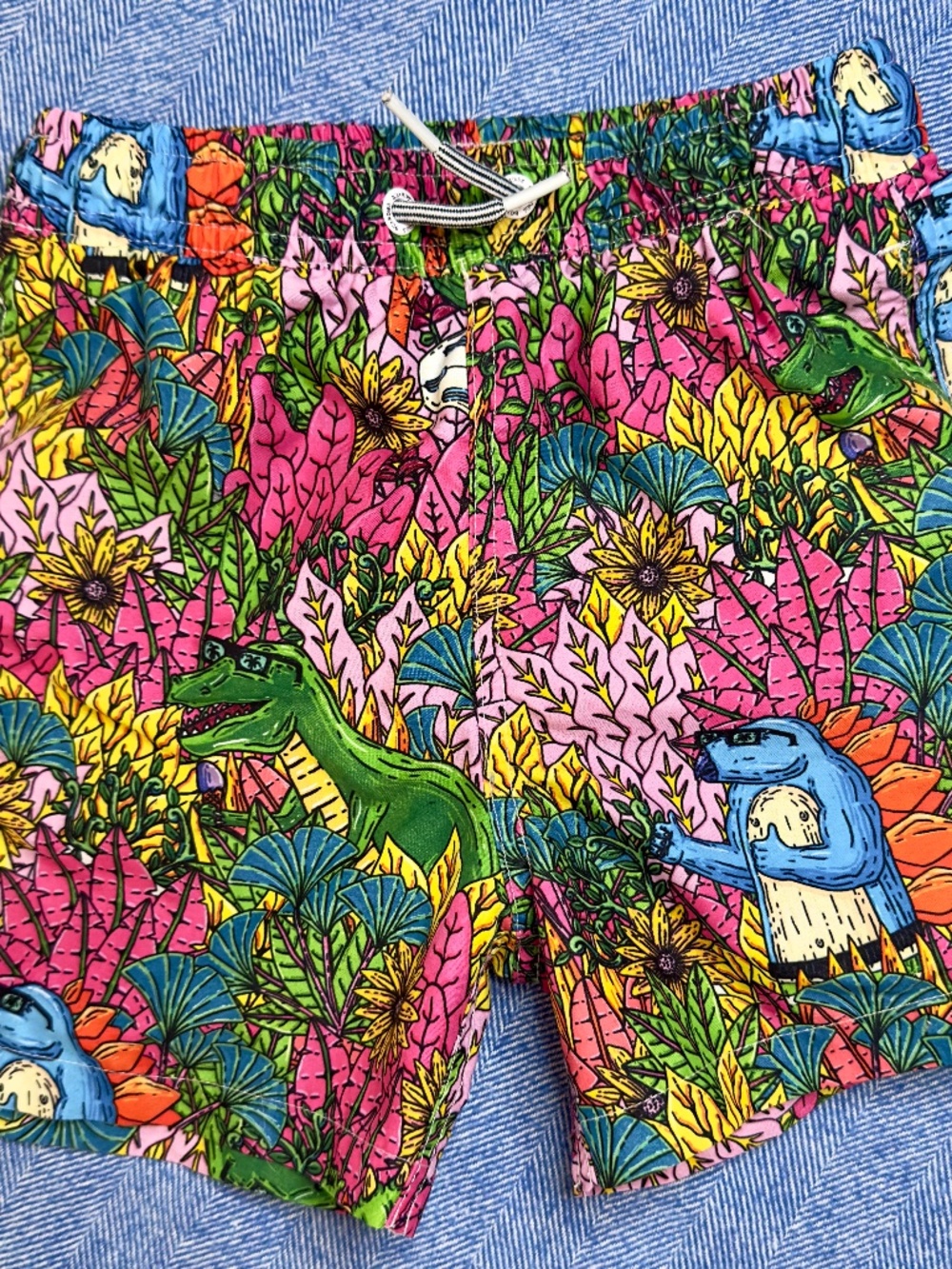 Boardies "Dino Takeover" Kids Swim Trunks Size 5-6 Dinosaur Print Like New